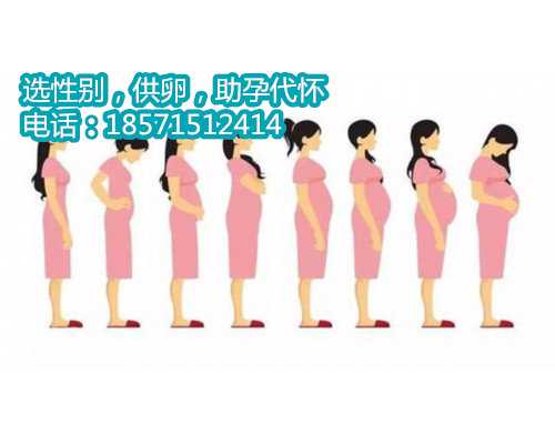 深圳助孕包女孩多少钱,试管移植鲜胚检测时间