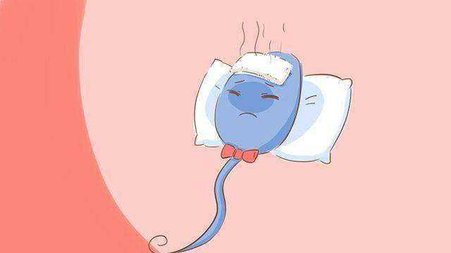 深圳借卵助孕全攻略：流程、费用与成功指南